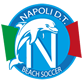https://beachsoccer.lnd.it/it/beachsoccer-news/serie-a/napoli-beach-soccer-campione-d-italia-2009
