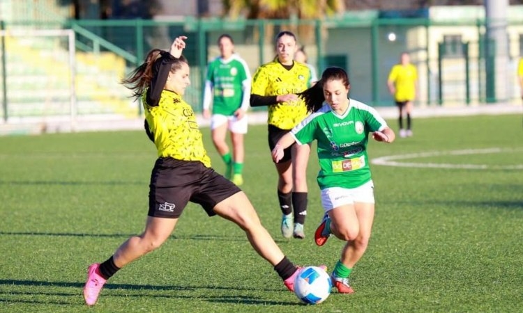 Serie C: si chiude il girone d’andata, undicesima giornata al via il 18 gennaio. Dolomiti Bellunesi–Pro Palazzolo in diretta streaming su YouTube