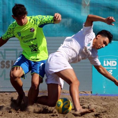 Ecosistemi Vs Vasto 00009