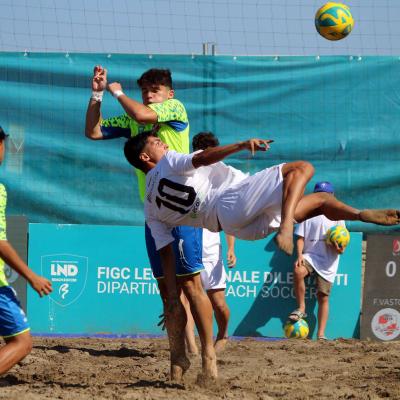 Ecosistemi Vs Vasto 00010