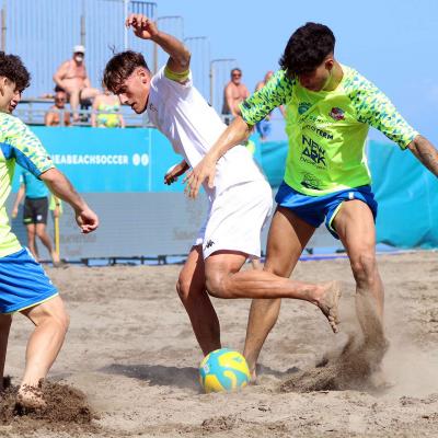 Ecosistemi Vs Vasto 00014